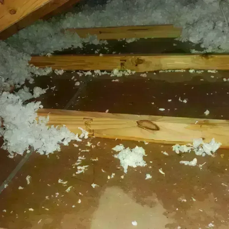 Attic Water Damage in Piedmont, AL