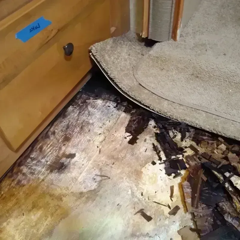 Wood Floor Water Damage in Piedmont, AL